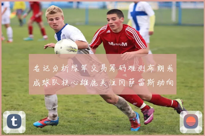 名记分析绿军交易筹码难测布朗或成球队核心雄鹿关注冈萨雷斯动向