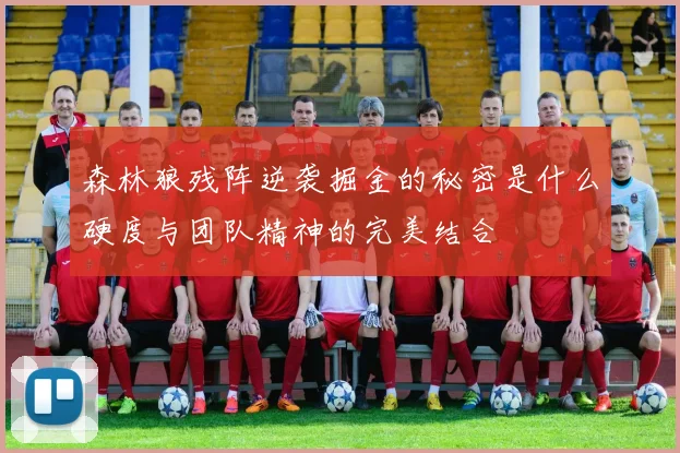 森林狼残阵逆袭掘金的秘密是什么硬度与团队精神的完美结合